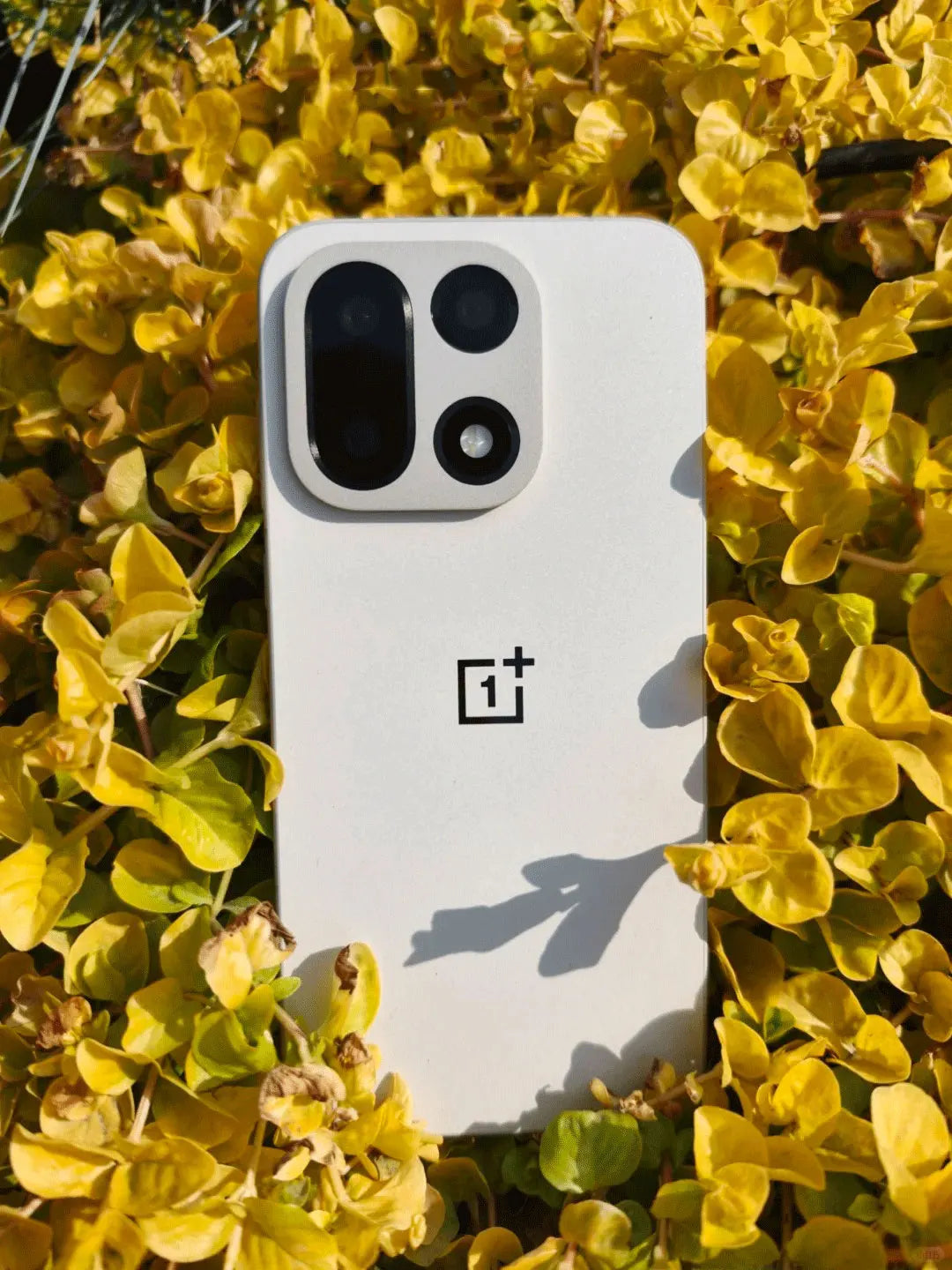 OnePlus 15 5G Smartphone Snapdragon 8 Gen 5 6.78” AMOLED 165Hz 7300mAh 120W 50MP Cámaras Triple