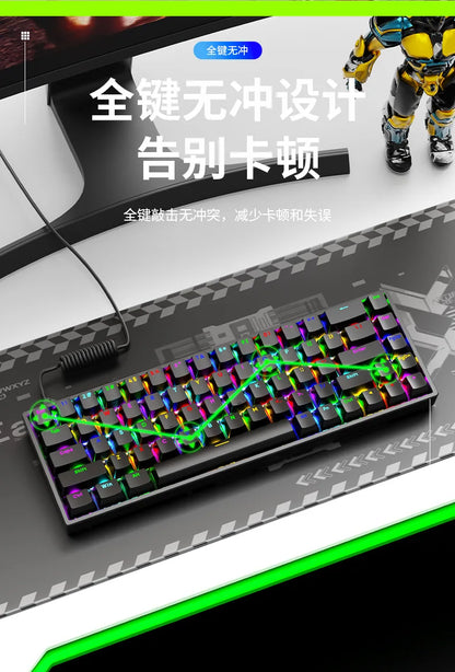 Luminous Mechanical Gaming Keyboard 68 Keys Wired Desktop & Laptop Blue & Red Switches