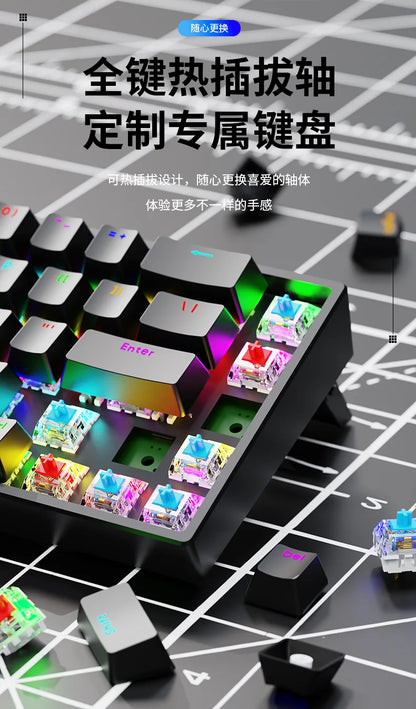Luminous Mechanical Gaming Keyboard 68 Keys Wired Desktop & Laptop Blue & Red Switches