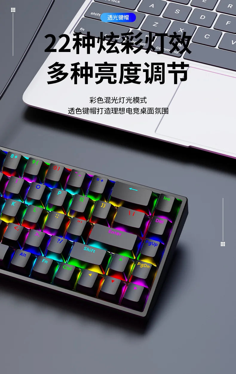 Luminous Mechanical Gaming Keyboard 68 Keys Wired Desktop & Laptop Blue & Red Switches