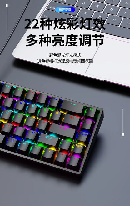Luminous Mechanical Gaming Keyboard 68 Keys Wired Desktop & Laptop Blue & Red Switches