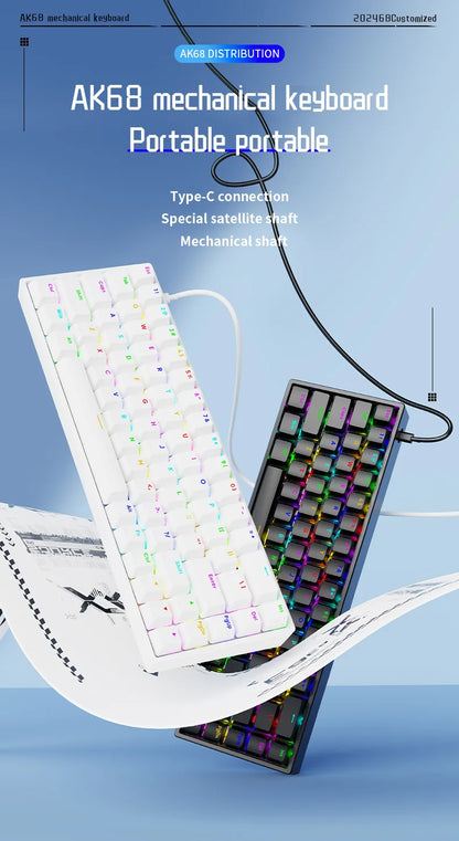 Luminous Mechanical Gaming Keyboard 68 Keys Wired Desktop & Laptop Blue & Red Switches