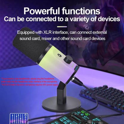 New Professional USB-C & USB-A Dynamic Cardioid Metal Gaming Microphone with RGB Lighting for Streaming Podcasting Recording