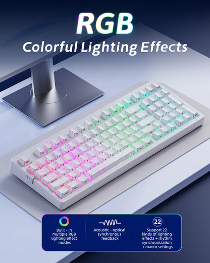 Zornher ZH980 White Spider Web Mechanical Keyboard Gateron Switches RGB Backlit Esports Gaming Tri-Mode Connectivity Customized