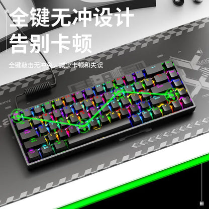 Luminous Mechanical Gaming Keyboard 68 Keys Wired Desktop & Laptop Blue & Red Switches