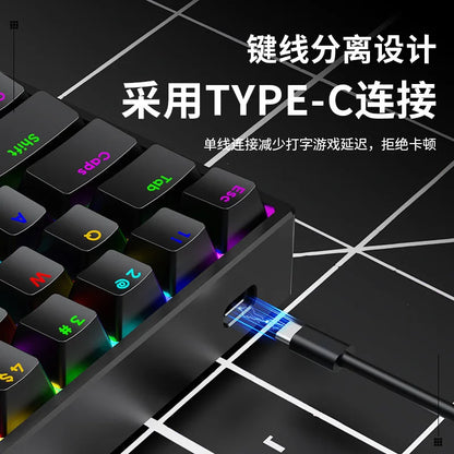 Luminous Mechanical Gaming Keyboard 68 Keys Wired Desktop & Laptop Blue & Red Switches