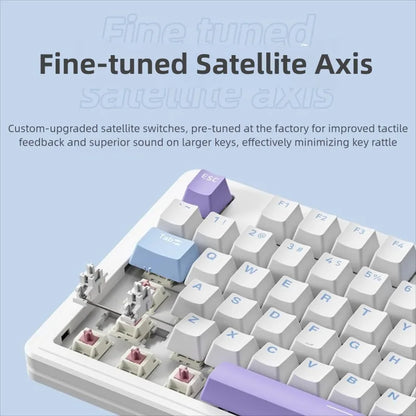 Gasket 87 Keys TKL Layout Wireless Wired Hot-Swappable Switch Programmable Spill Resistant USB Type-C Gaming Mechanical RGB