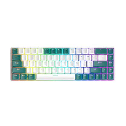 T8 108-Key Full Size RGB Backlit Gaming Mechanical Keyboard with USB Interface for Professional Gamers
