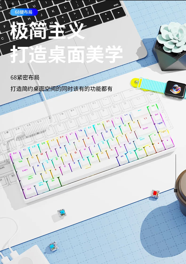 Luminous Mechanical Gaming Keyboard 68 Keys Wired Desktop & Laptop Blue & Red Switches