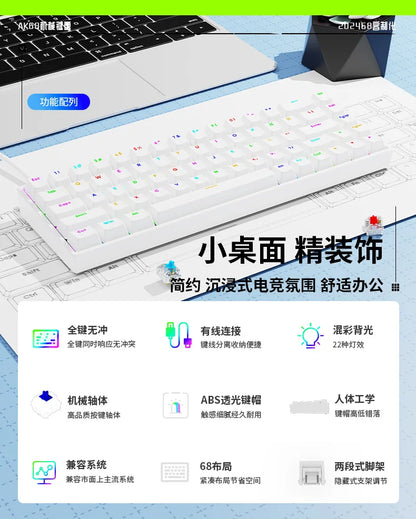 Luminous Mechanical Gaming Keyboard 68 Keys Wired Desktop & Laptop Blue & Red Switches