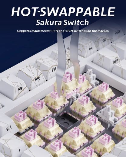 Zornher ZH980 White Spider Web Mechanical Keyboard Gateron Switches RGB Backlit Esports Gaming Tri-Mode Connectivity Customized