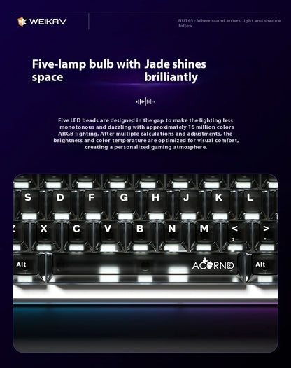 Weikav Nut65 Tri-Mode 6000mAh Mechanical Gaming Keyboard Kit QWERTY Wired/Wireless ARGB Rhythm DIY AO&EP Sound Reactive Lighting