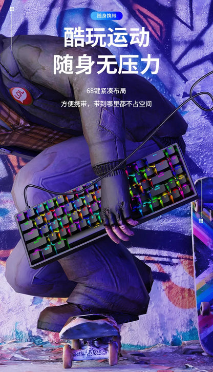 Luminous Mechanical Gaming Keyboard 68 Keys Wired Desktop & Laptop Blue & Red Switches